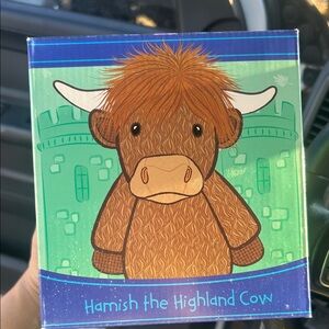 Scentsy Kids Plush Box with Green and Purple Design